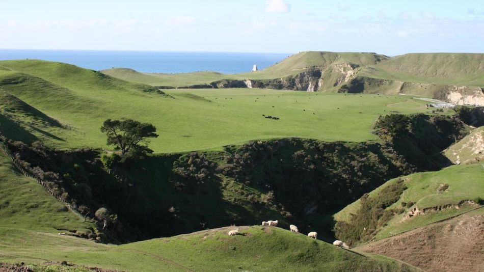 Cape Kidnappers